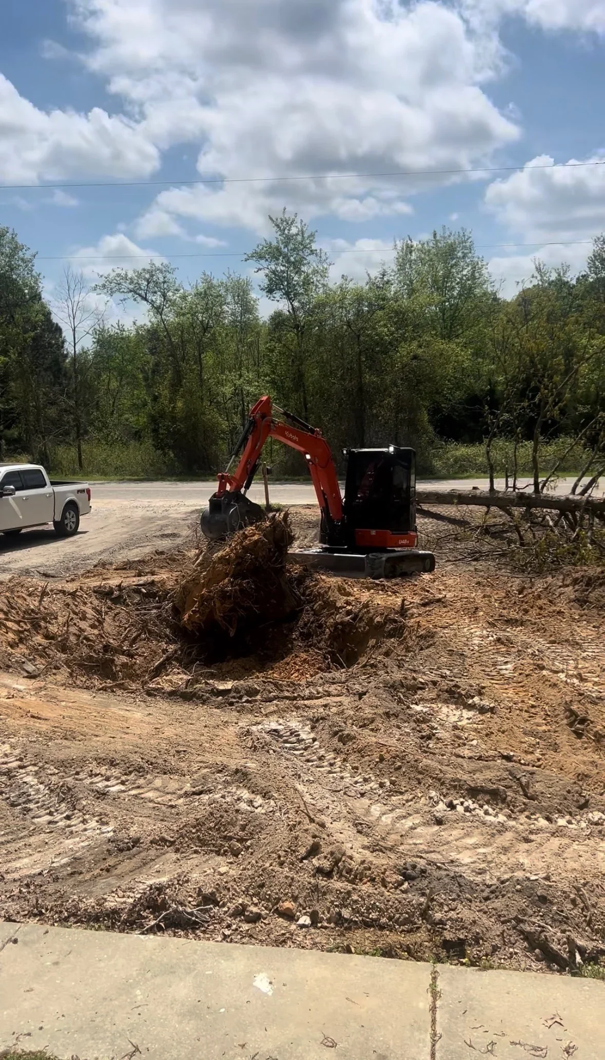 Red compact excavator removing large tree stump with roots from cleared land